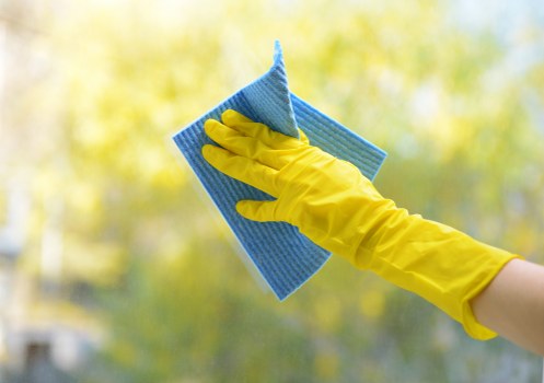Professional cleaners in Bermondsey working on a clean and organized interior