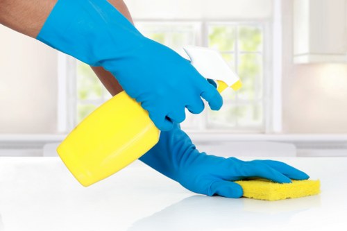 Professional pet stain and odour removal for a Bermondsey carpeted living room