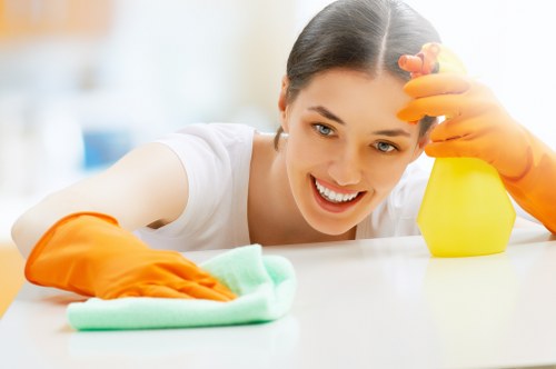 Local cleaner deep cleaning a Bermondsey kitchen
