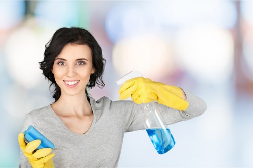 Gutter maintenance for Bermondsey homes and businesses