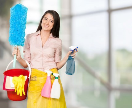 Checklist for cleaning tasks, access notes, and property requirements
