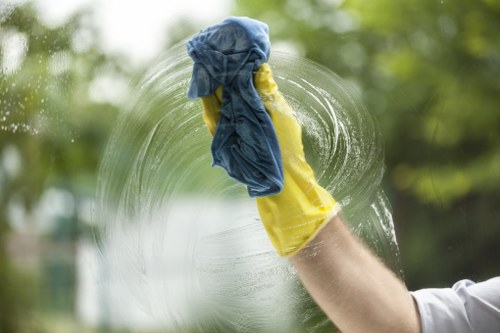 Regular household cleaning service for Bermondsey residents